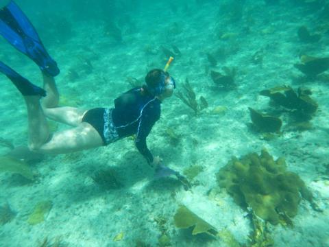 Snorkeling in the Cayo Santa Maria