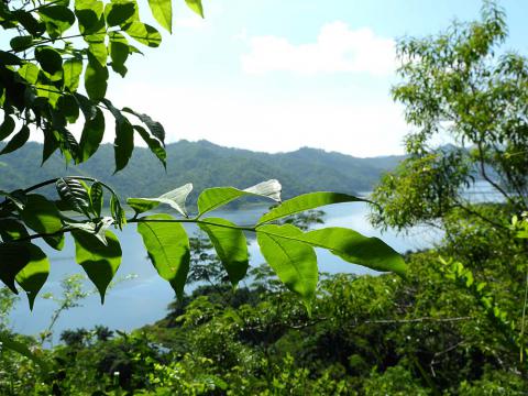 Natural Park Hanabanilla